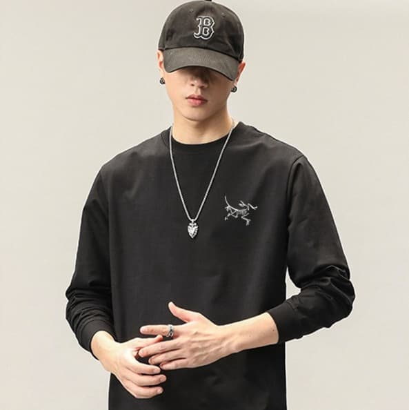 ロンT 恐竜モチーフ カジュアル 長袖シャツ