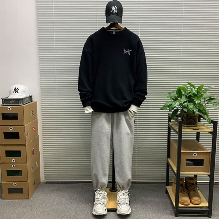 ロンT 恐竜モチーフ カジュアル 長袖シャツ