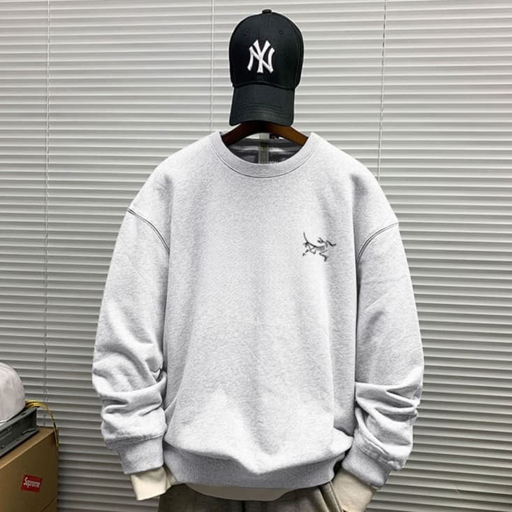 ロンT 恐竜モチーフ カジュアル 長袖シャツ