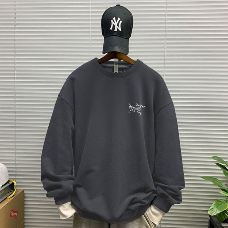 ロンT 恐竜モチーフ カジュアル 長袖シャツ