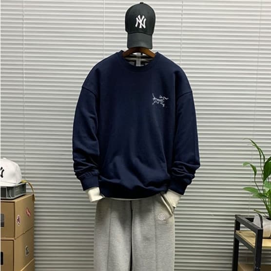 ロンT 恐竜モチーフ カジュアル 長袖シャツ